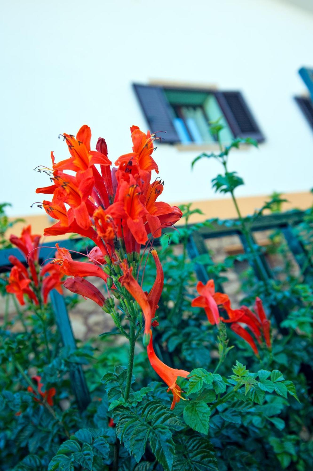 Апарт отель Casale La Zagara Шакка Экстерьер фото